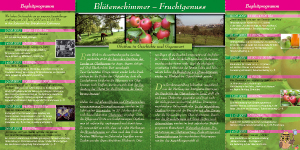 flyer_obstbau_innen